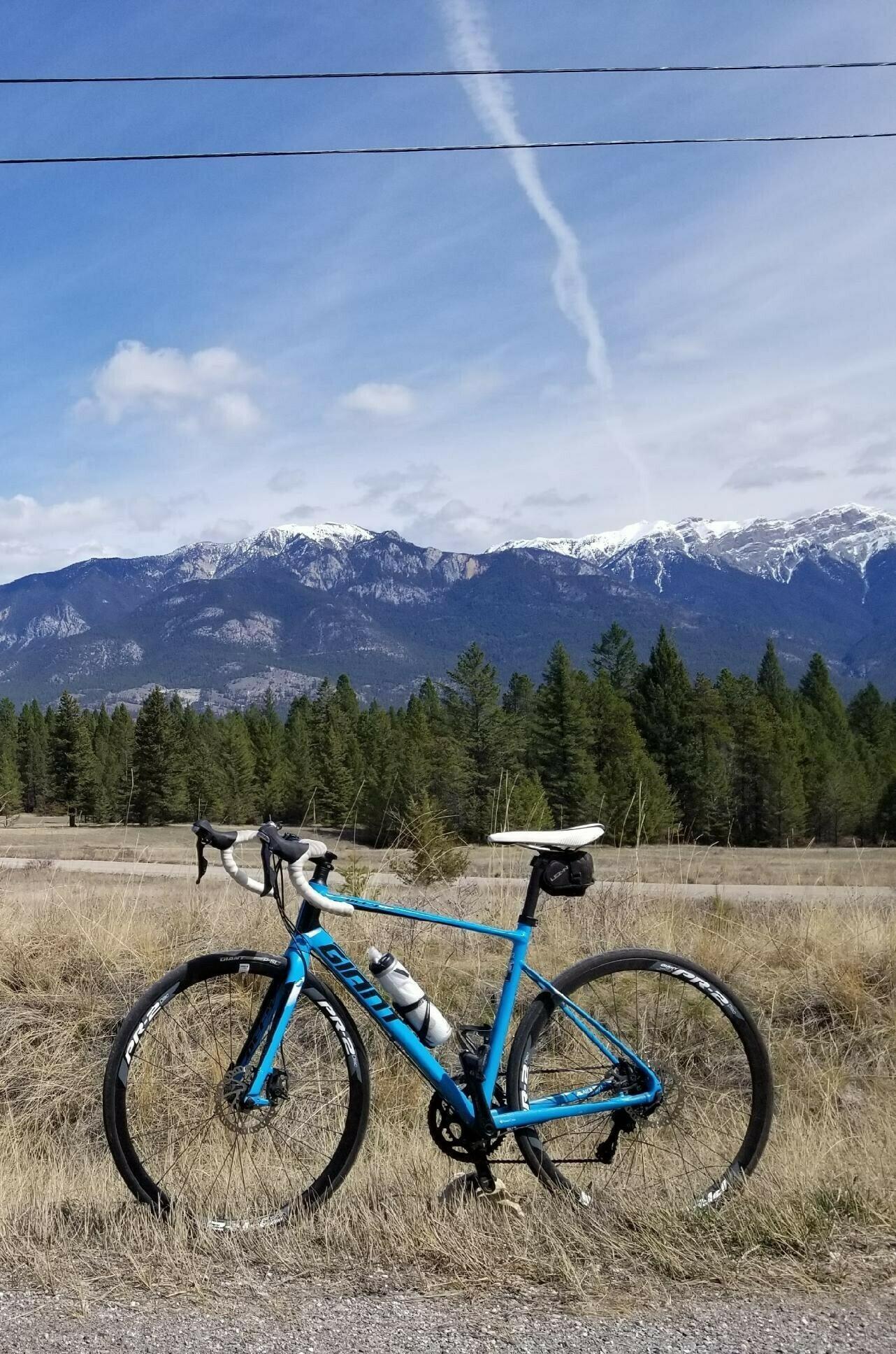 2015 Giant Defy 1 Blue