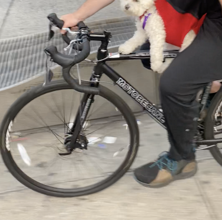 2021 Motobecane Fantom Cross Trail W 700 Black