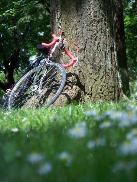 1978 Schwinn Super Le Toure  Black