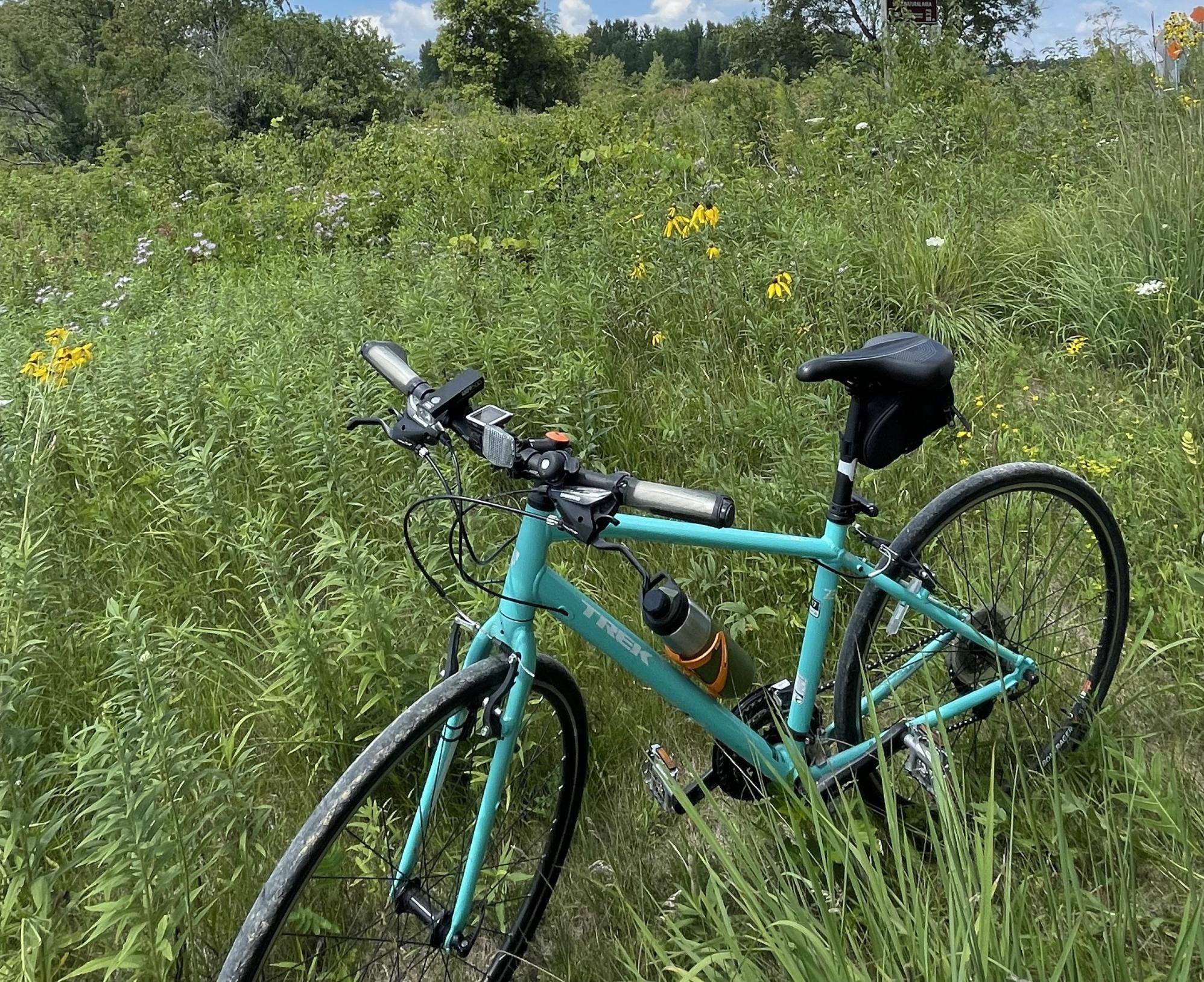 2012 Trek 7.3 FX Teal