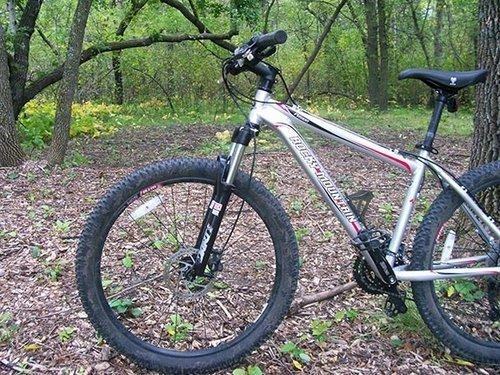 2010 Rocky Mountain Bicycles Fusion Silver or Gray and Red