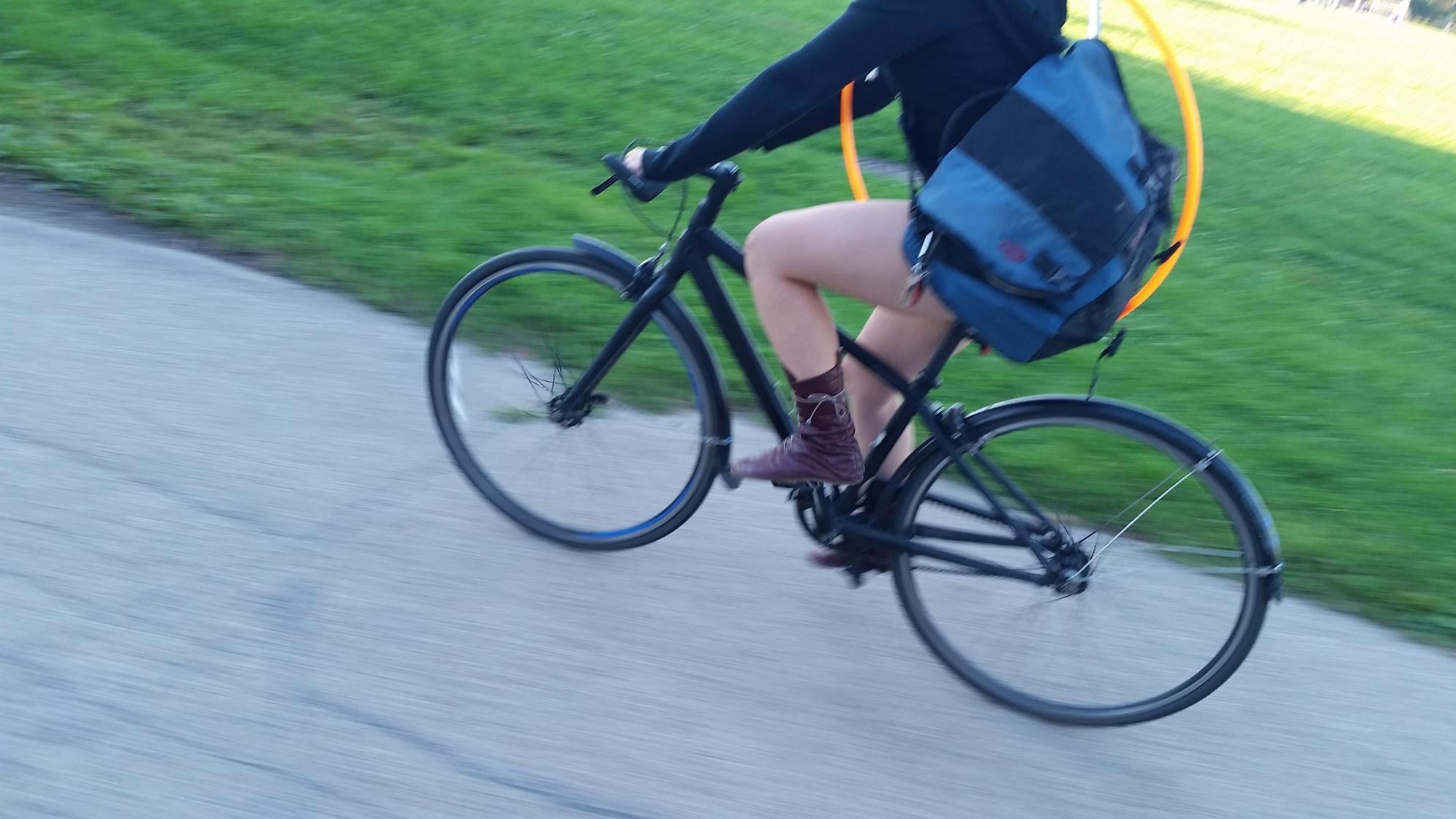 2012 Trek Trek Alpha Gold Series Black