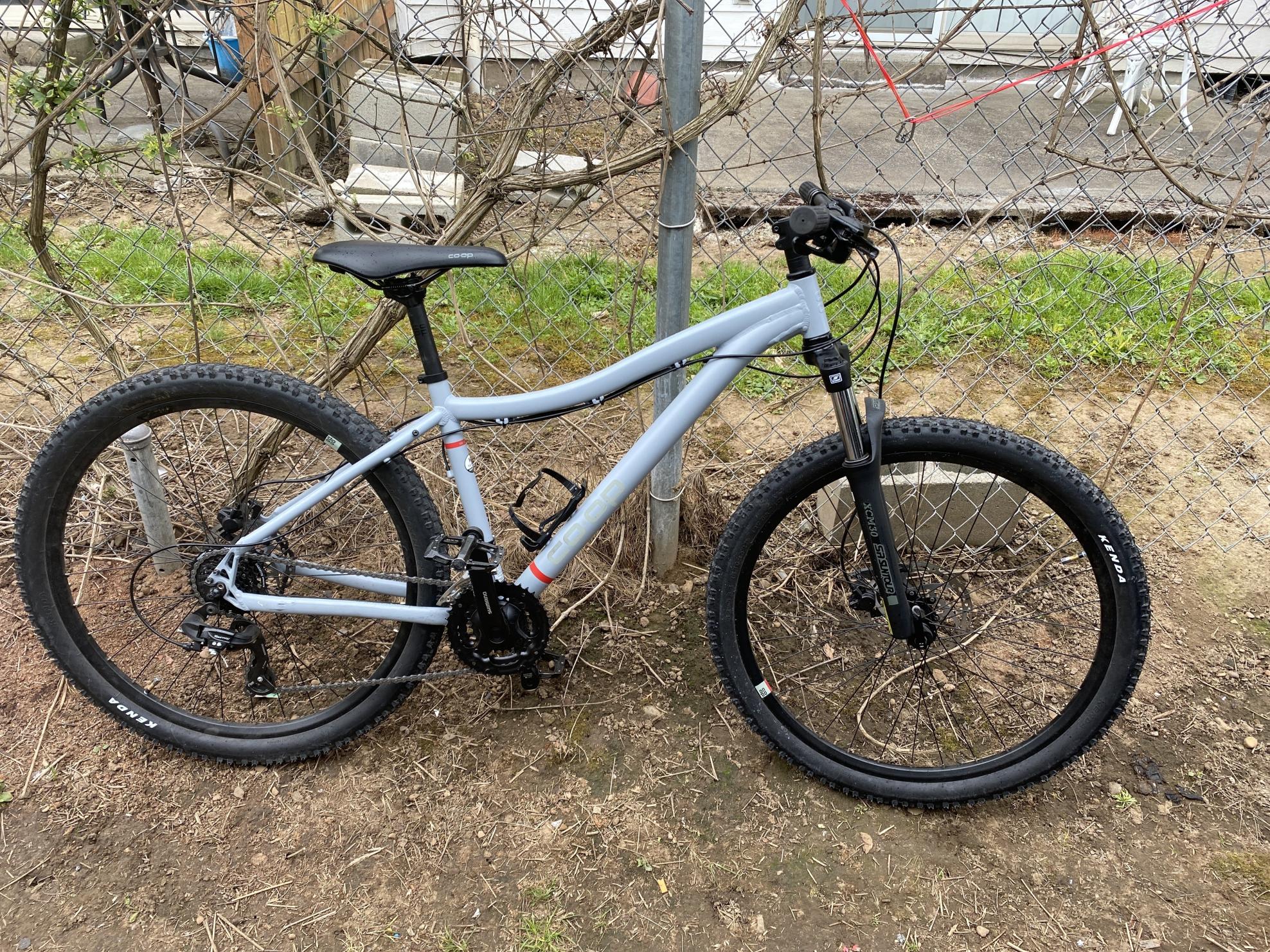 2024 REI Co-op Drt 1.1 Silver, gray or bare metal