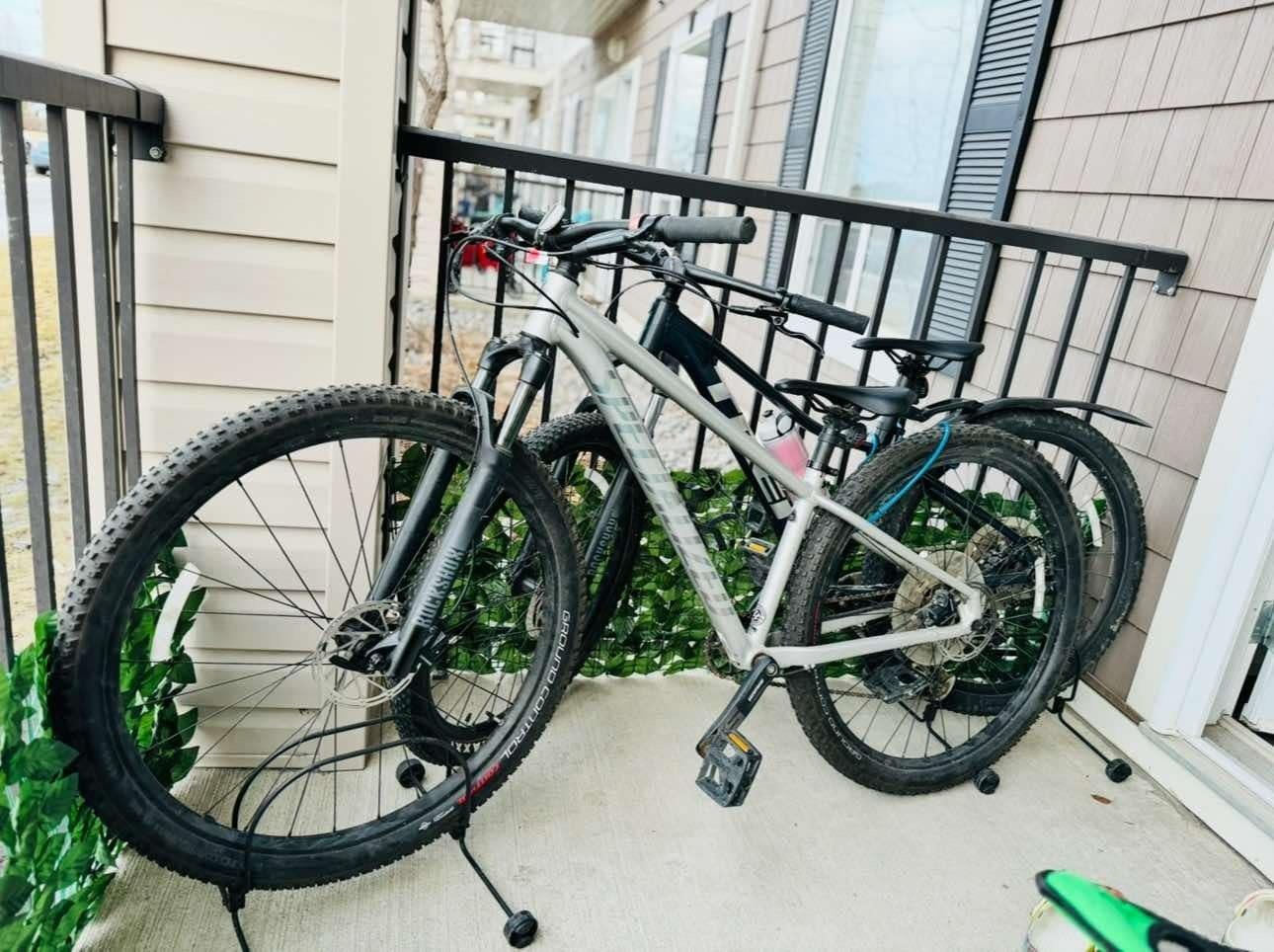2021 Specialized Rockhopper Silver, gray or bare metal