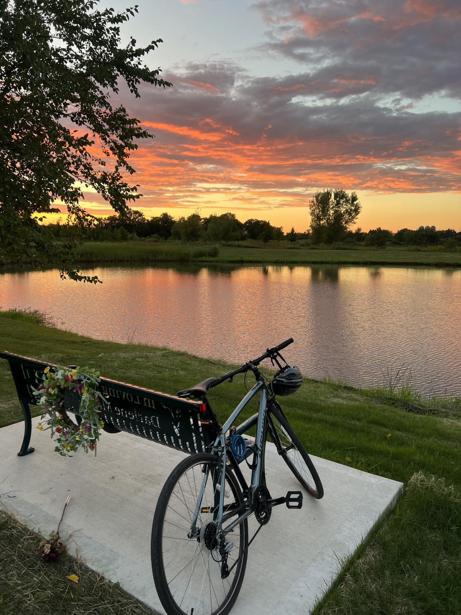 Nishiki Manitoba Silver, gray or bare metal