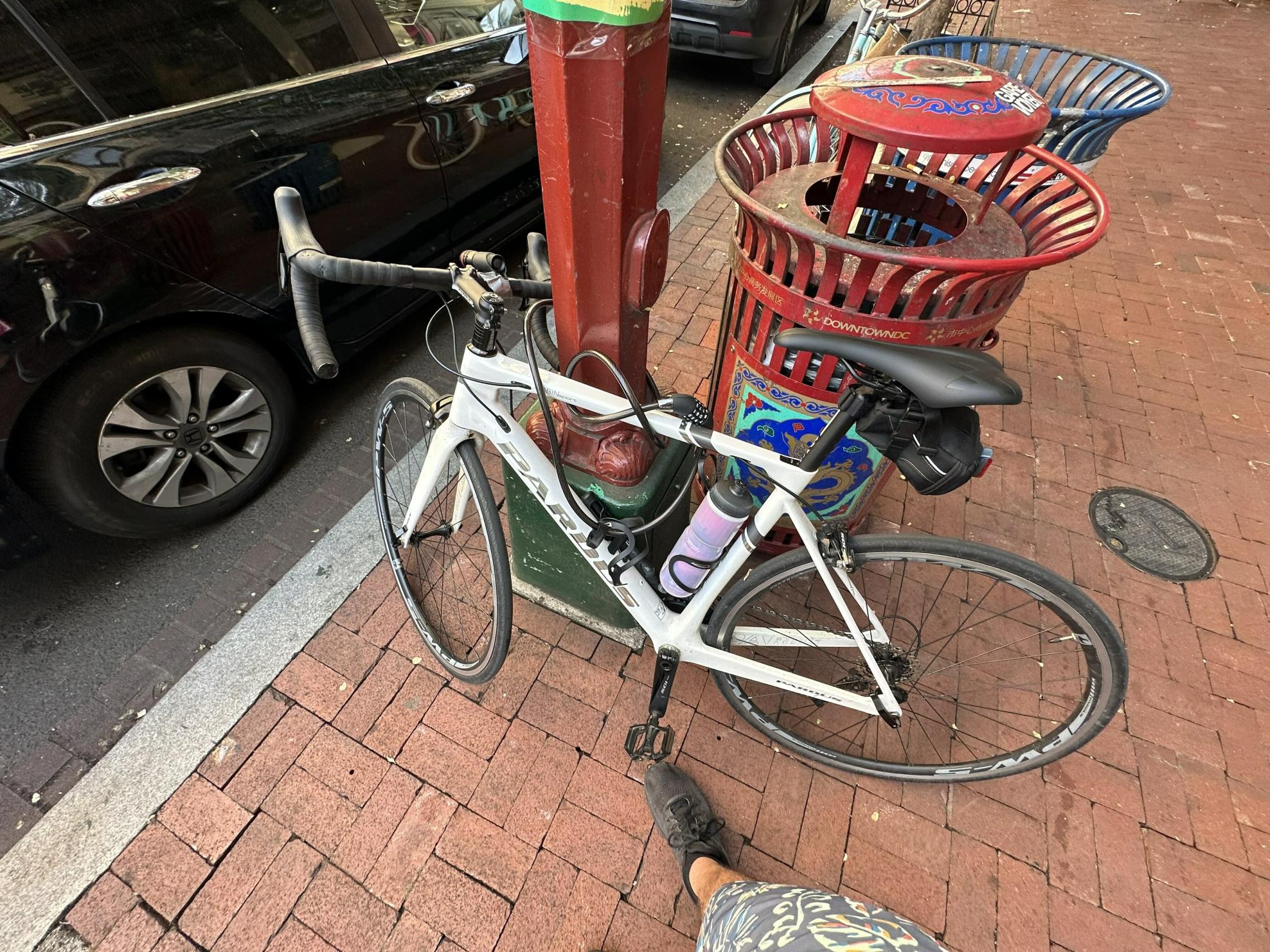 Pardus Robin Sport White