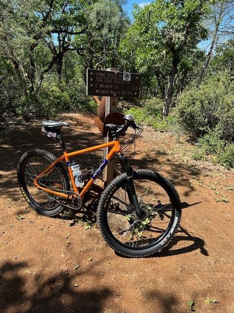 2021 Rodriguez Custom Hardtail Mountain Bike Orange