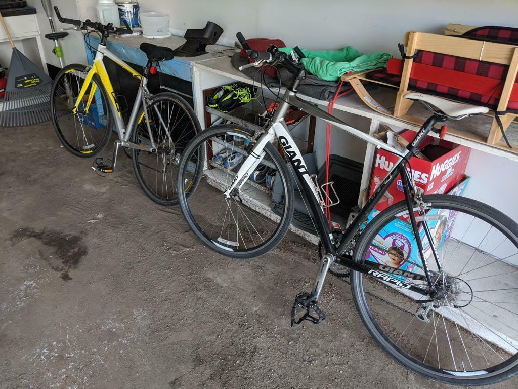 2010 Giant Yellow or Gold