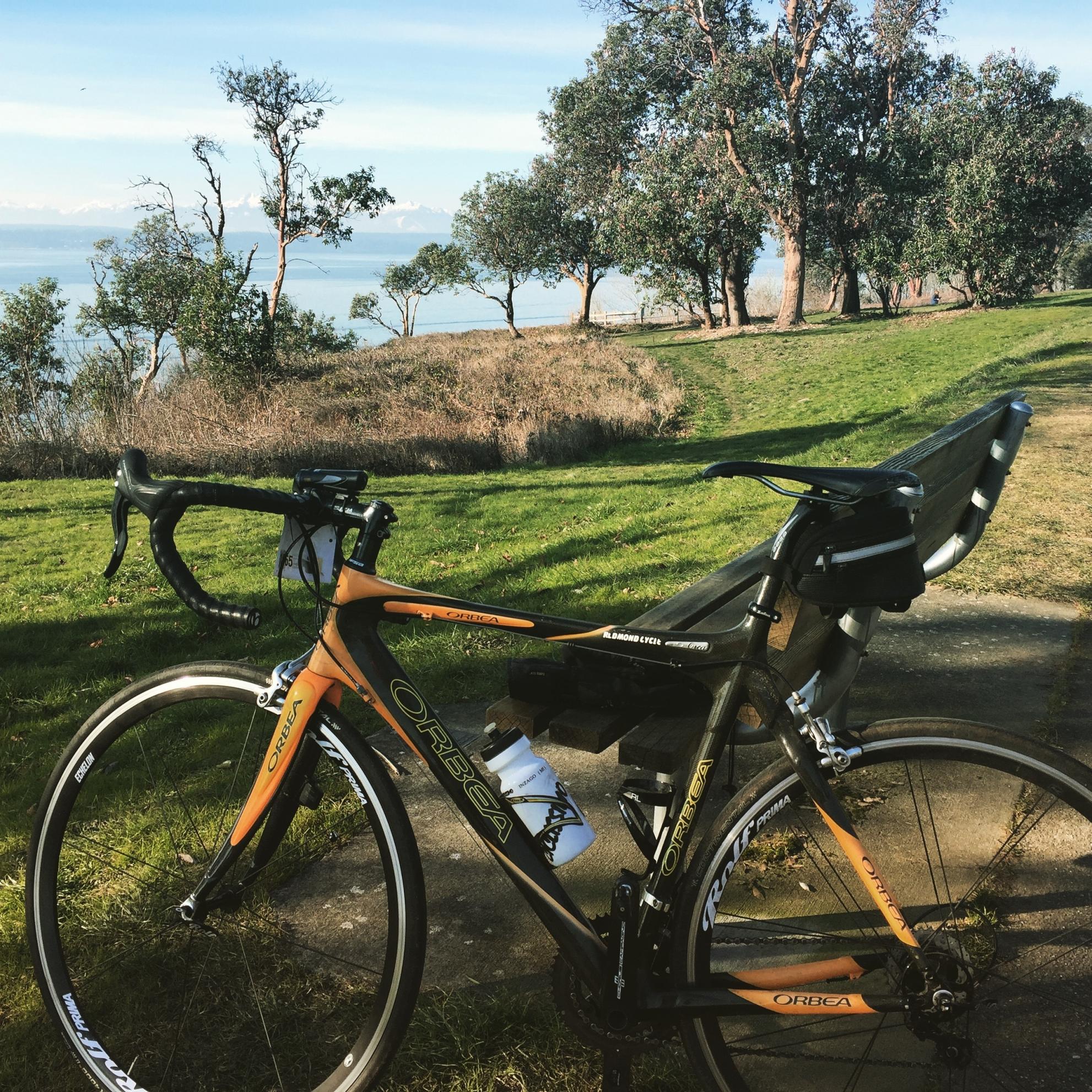 2005 Orbea Orca Black and Orange