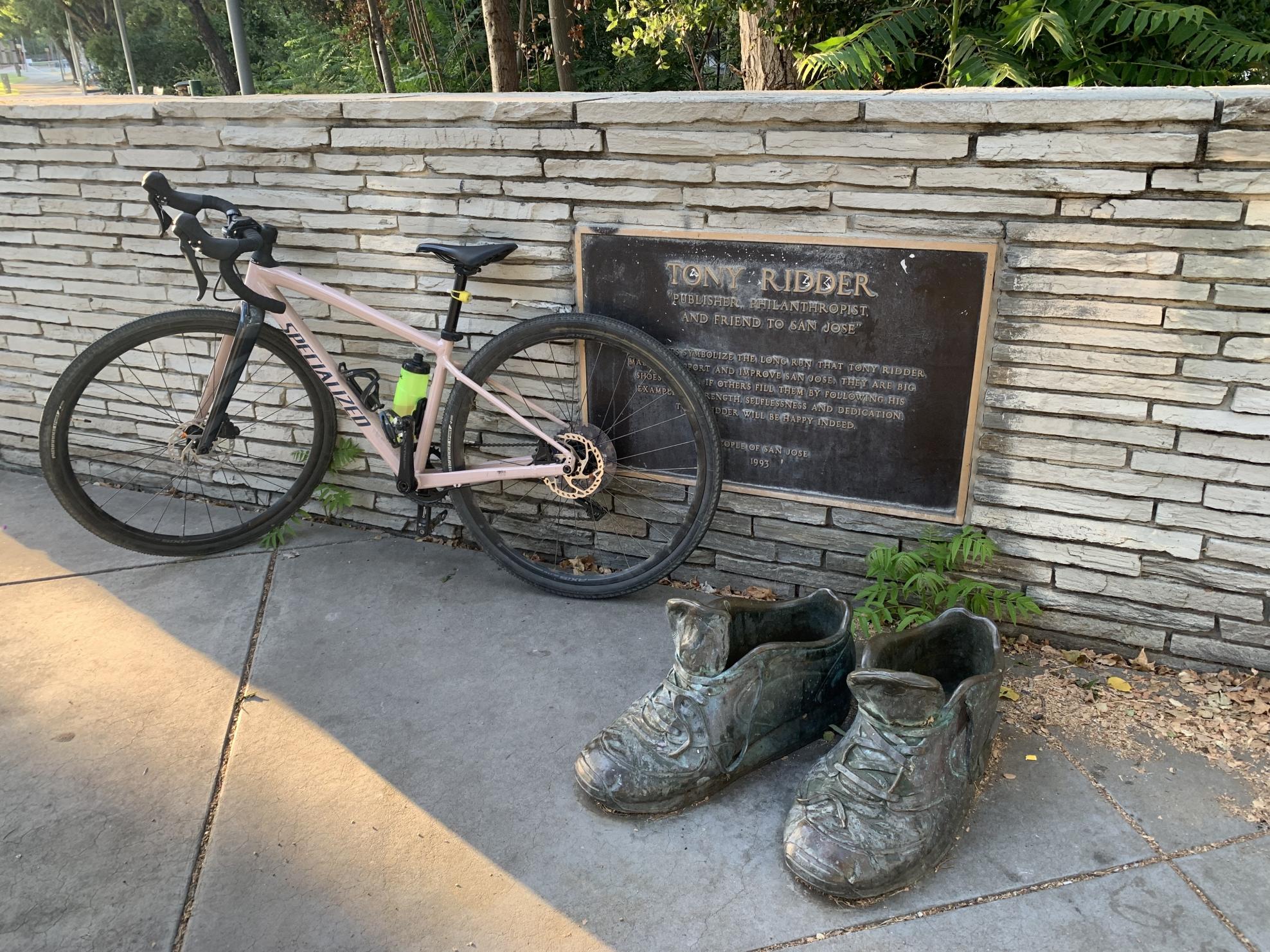 2021 Specialized Diverge Comp E5 Pink