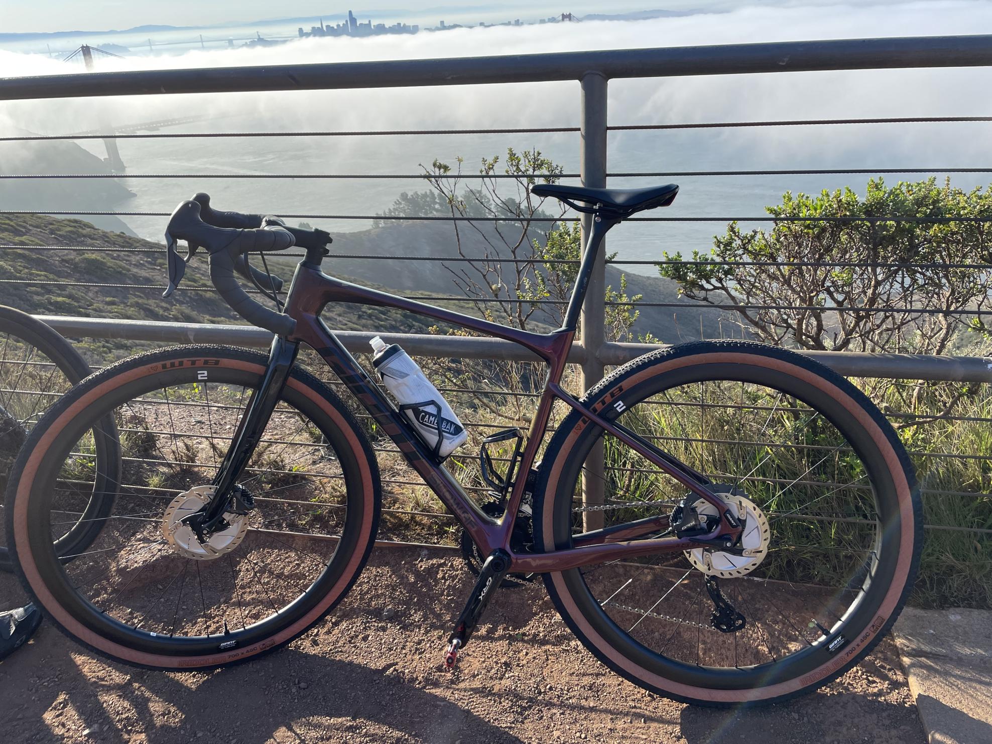 2020 Giant Revolt Brown