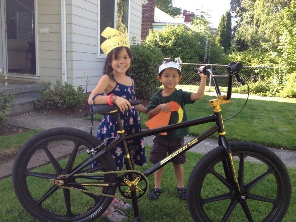 2011 Skyway TA 24 Black and Yellow or Gold