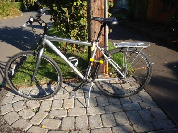 2010 Trek 20