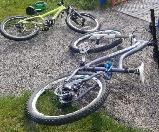 Norco Bikes Purple