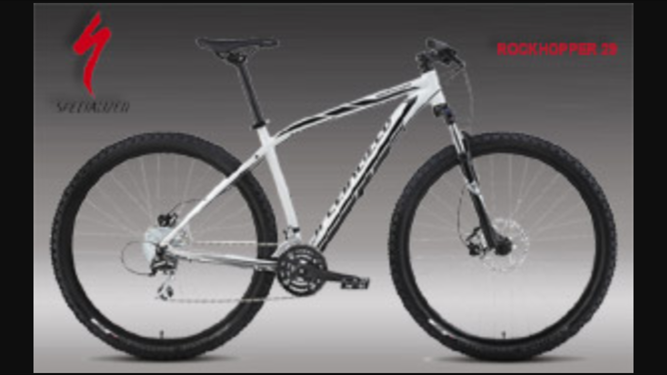 2014 Specialized Rockhopper 29 White