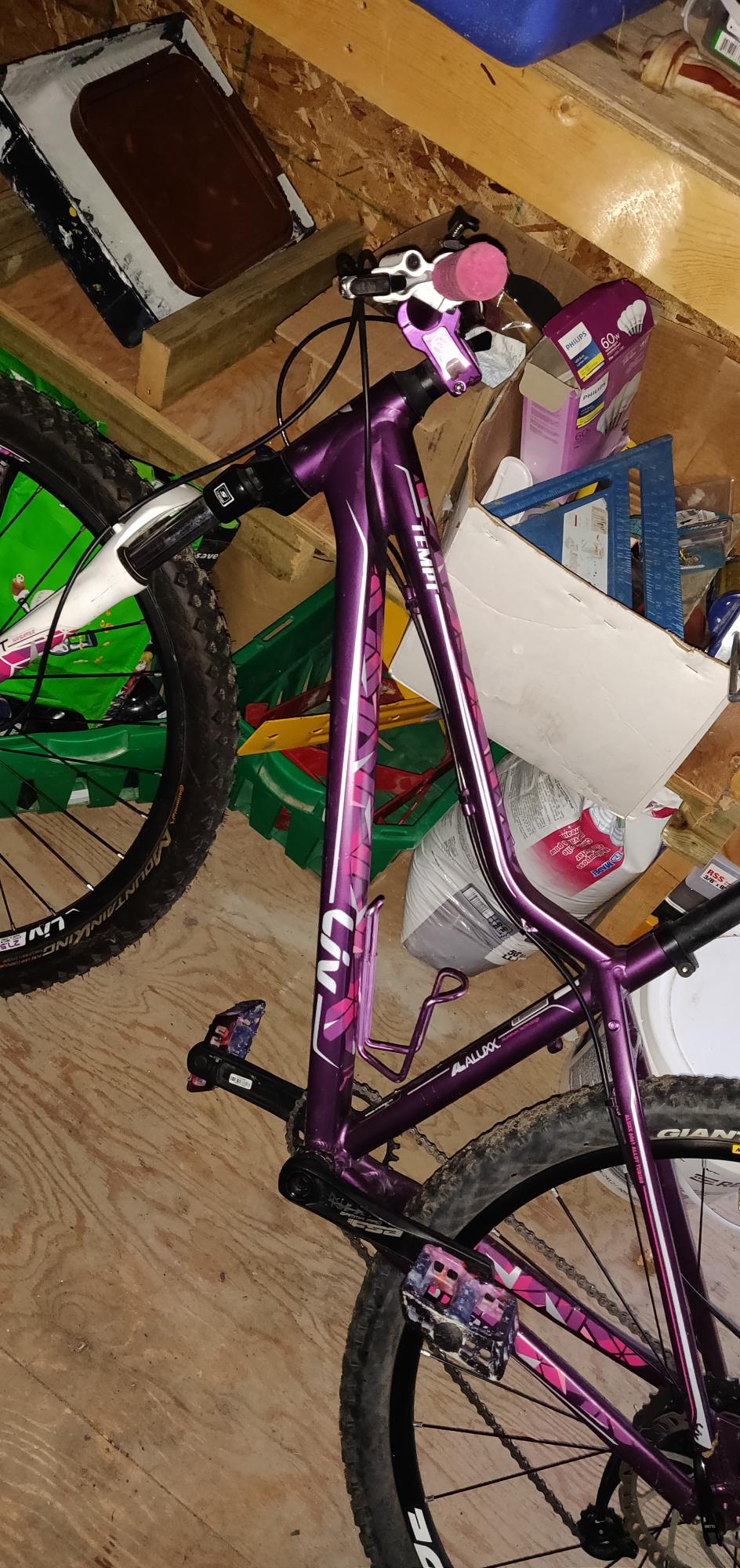 2022 Giant Tempt liv3 Pink and Purple