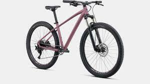 2020 Specialized Rock hopper Pink and Black