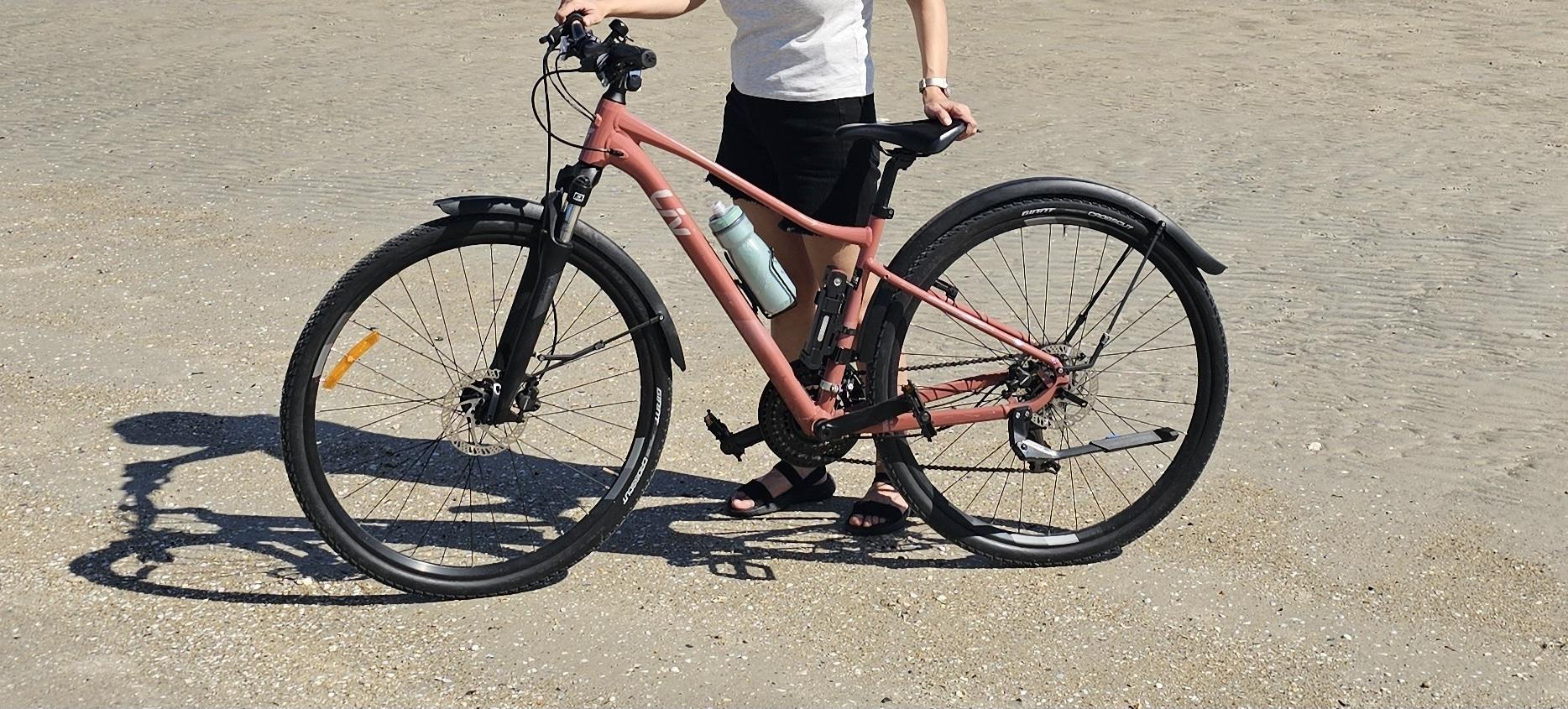 2022 Giant ALUXX-Grade Aluminium, disc Pink