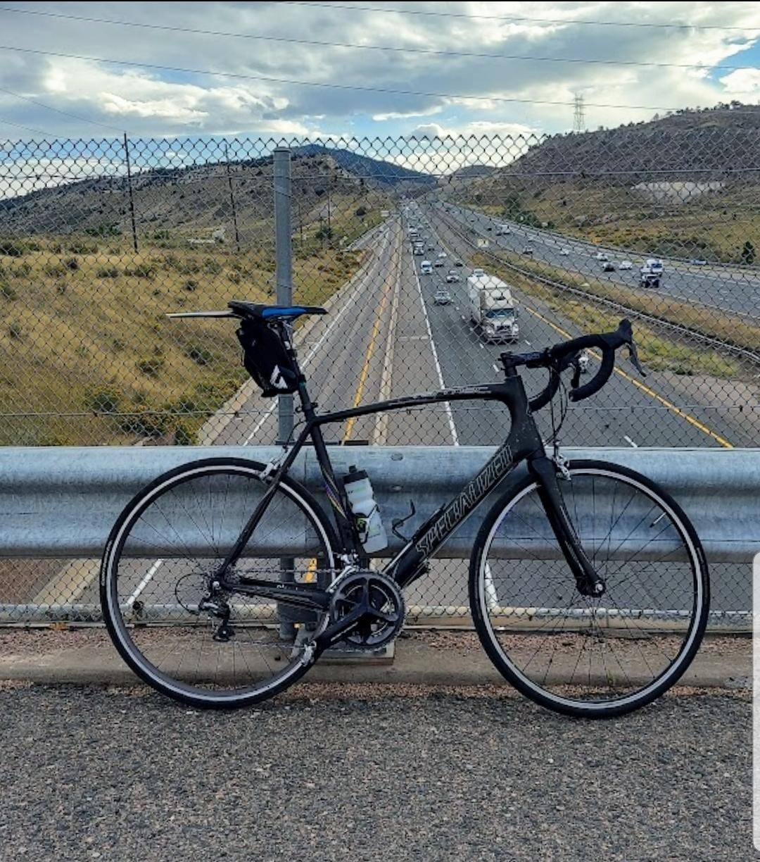 2010 Specialized Tarmac Pro SL Frameset Black