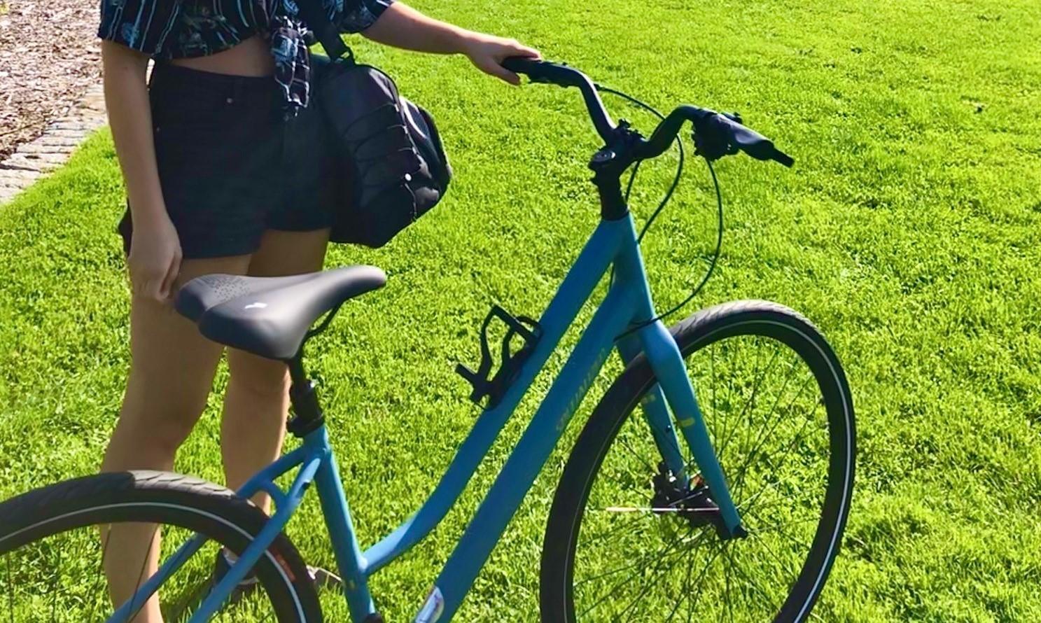 2021 Specialized Crossroads 3.0 Step Through Blue