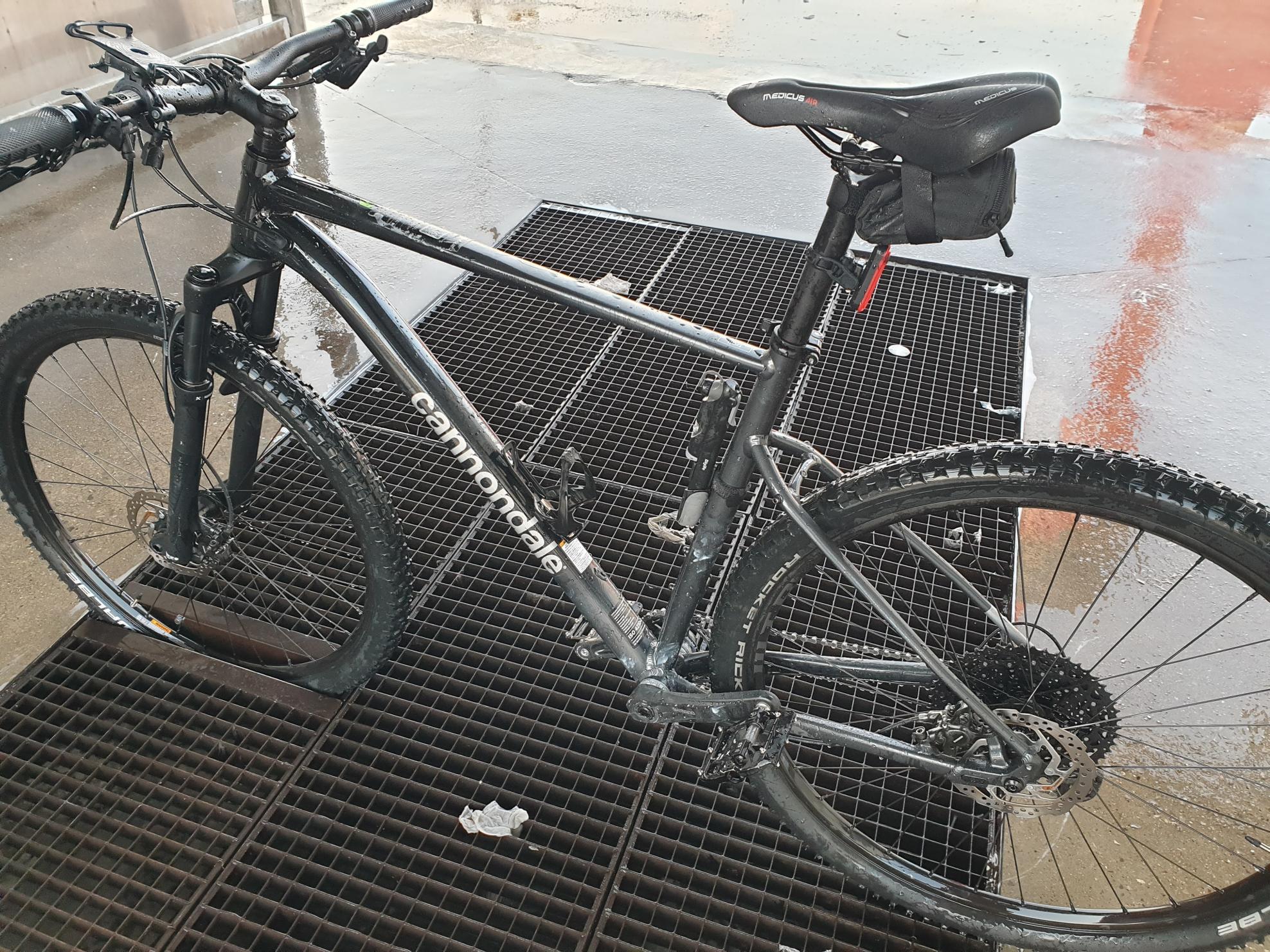 2021 Cannondale Trail SL 3 Black