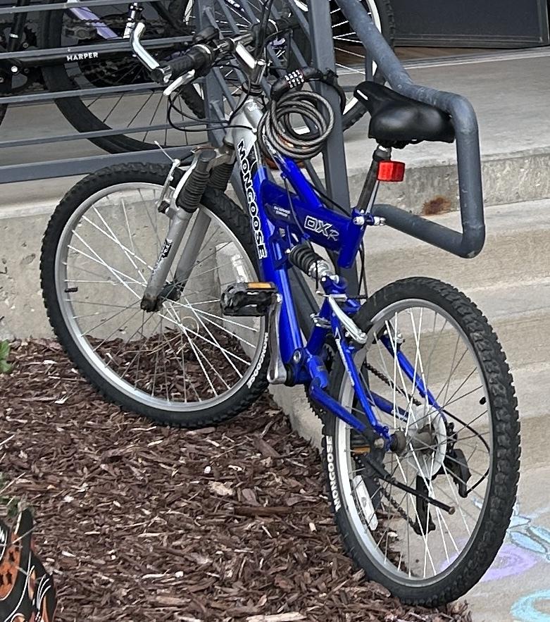 Mongoose Dual suspension Blue