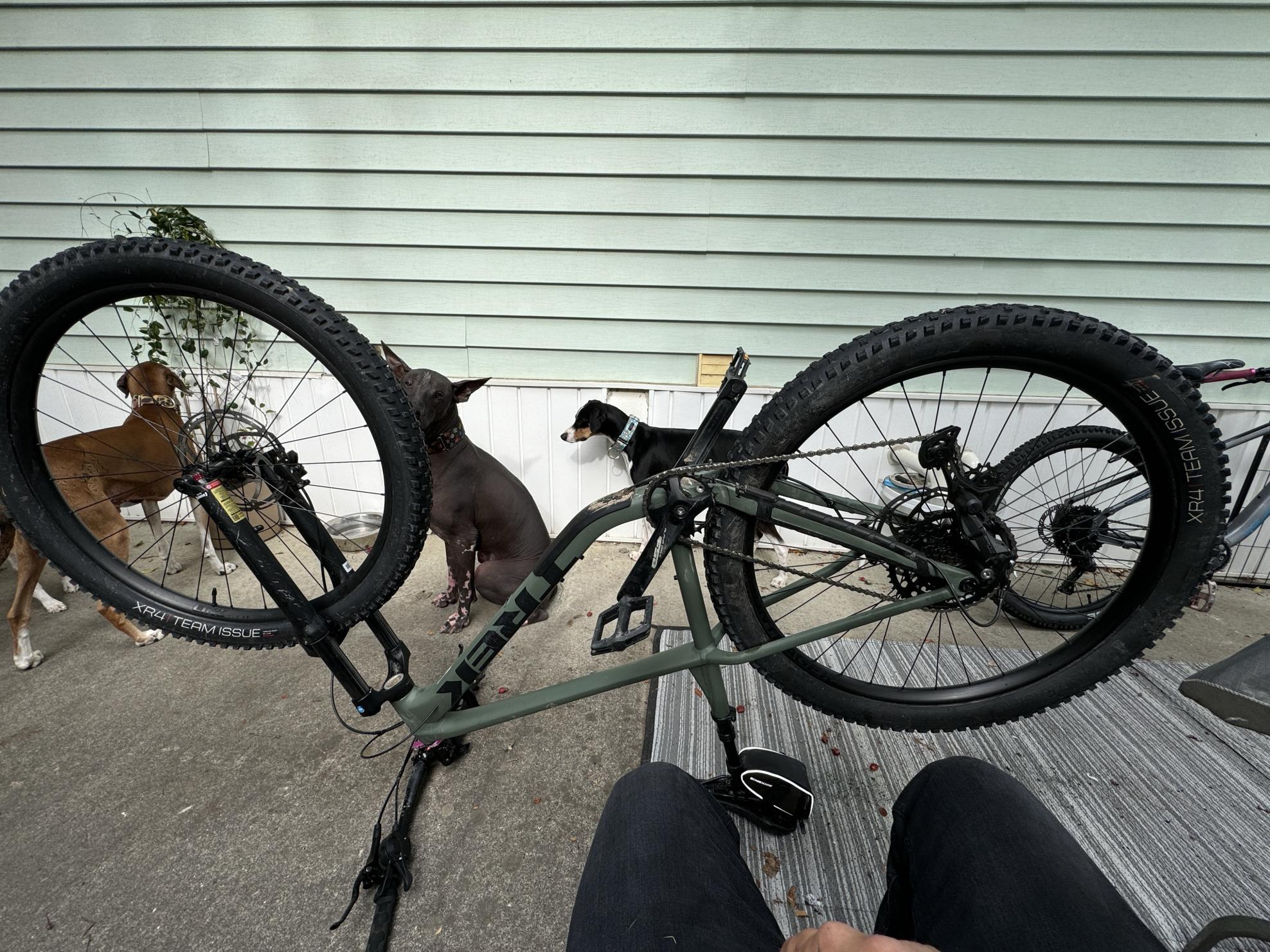 2024 Trek ROSCOE 6 Green