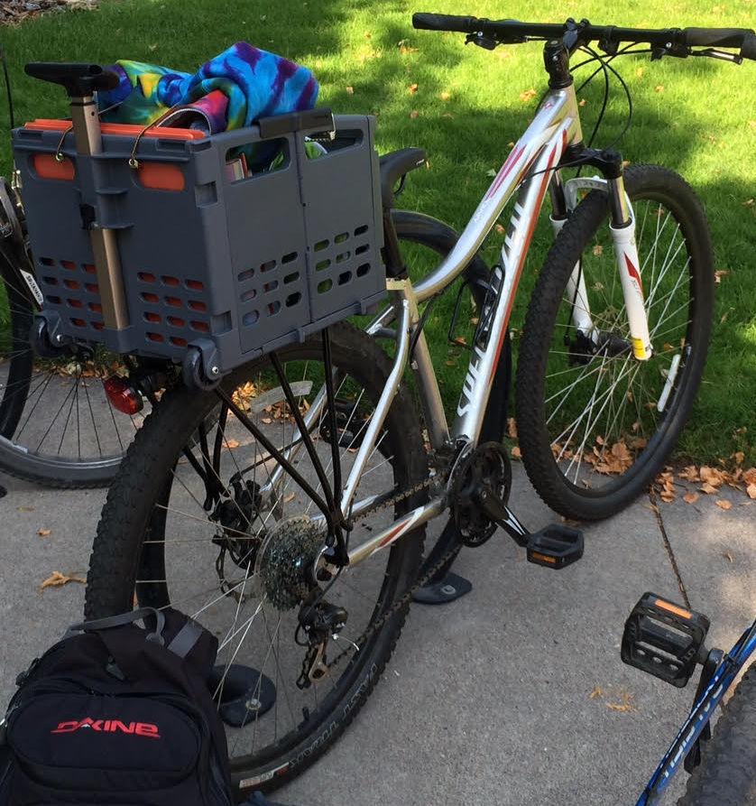 2013 Specialized Myka Sport Disc 29 Silver or Gray, Red, and White