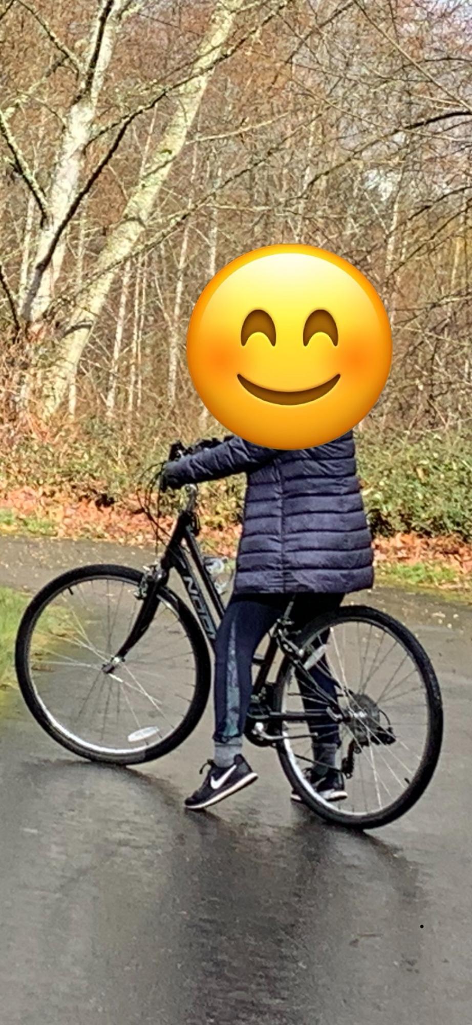 2017 Norco Bikes Yorkville Silver, gray or bare metal