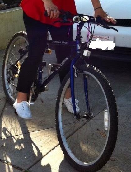 Trek Mountain Track 800 Purple