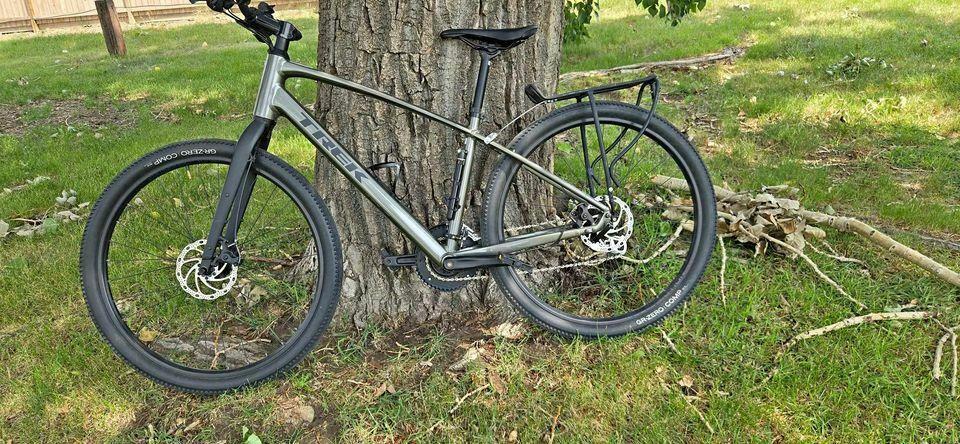 2023 Trek Silver, gray or bare metal