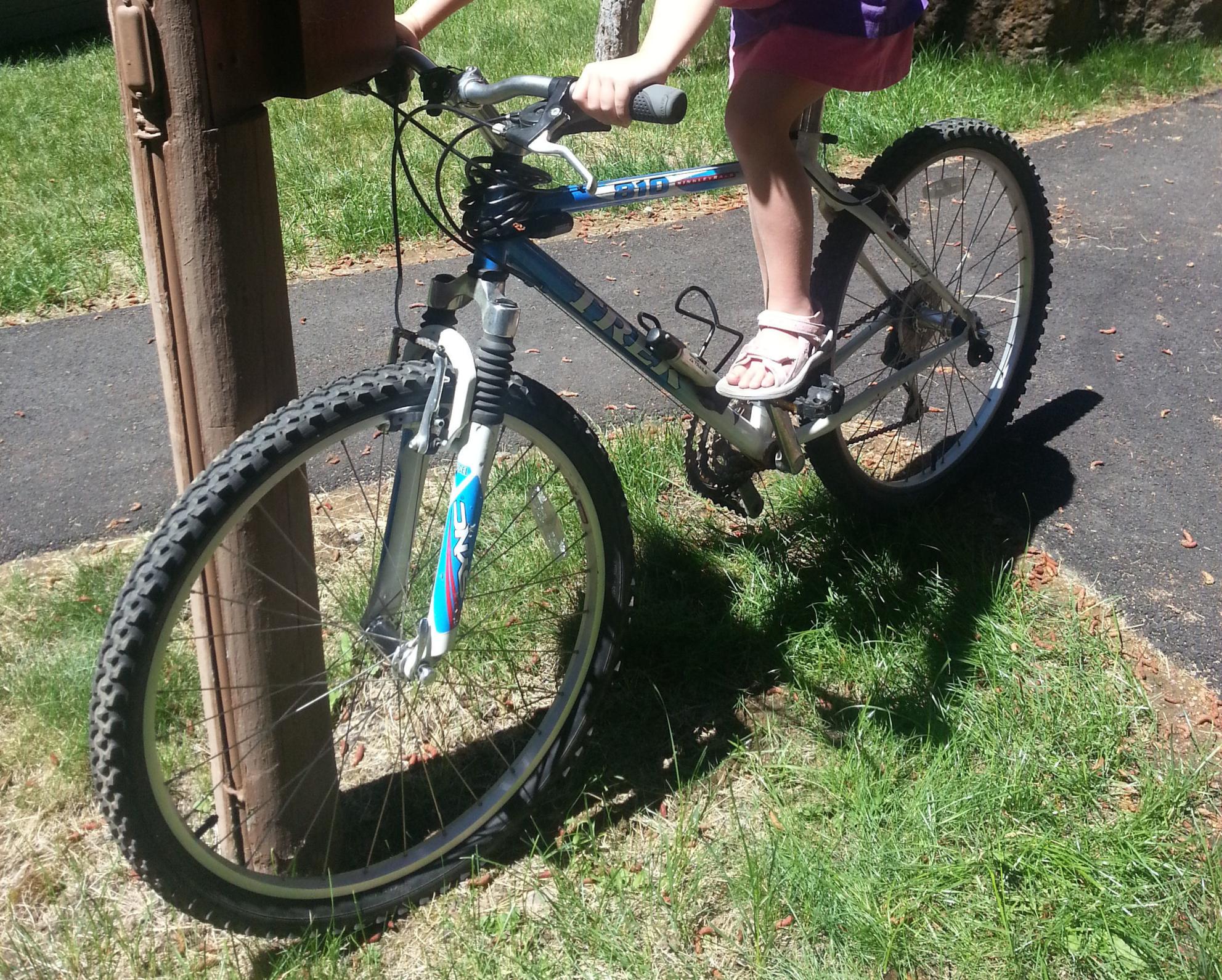 1999 Trek 810 Blue and White