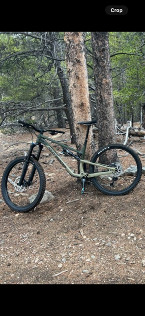 2023 Rocky Mountain Bicycles LG Green