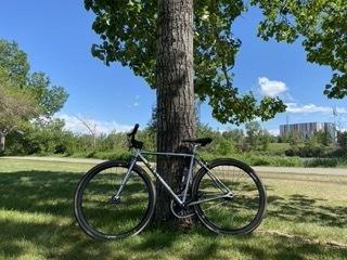 2021 Masi Uno Riser Silver, gray or bare metal