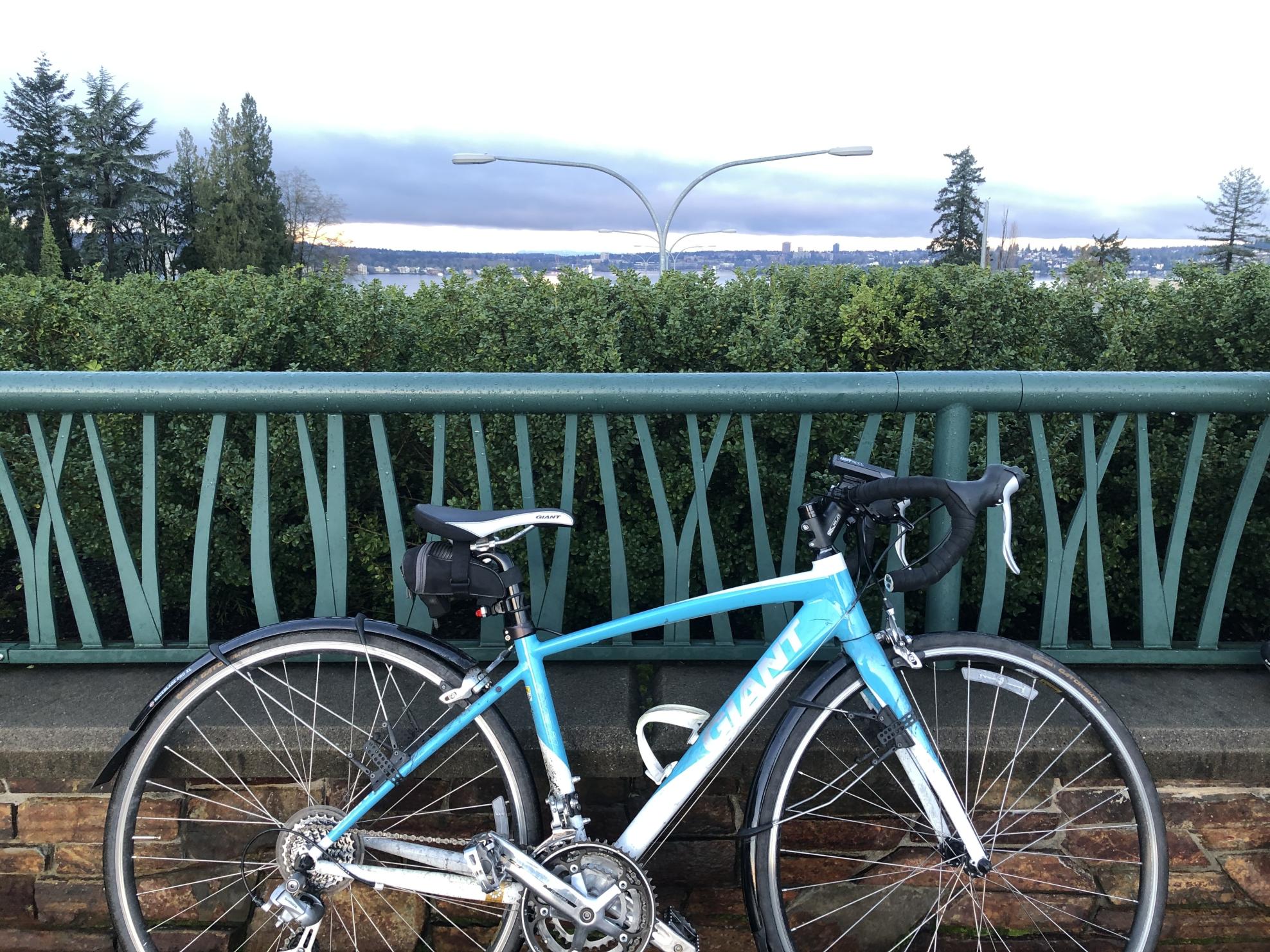 2014 Giant Avail 1 Blue