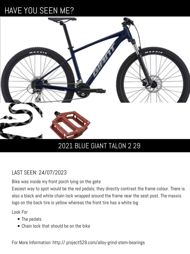 2021 Giant Talon Blue and Silver, gray or bare metal