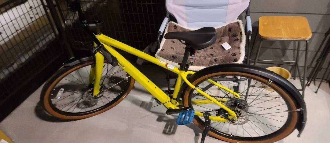 2022 Diamondback Yellow or Gold