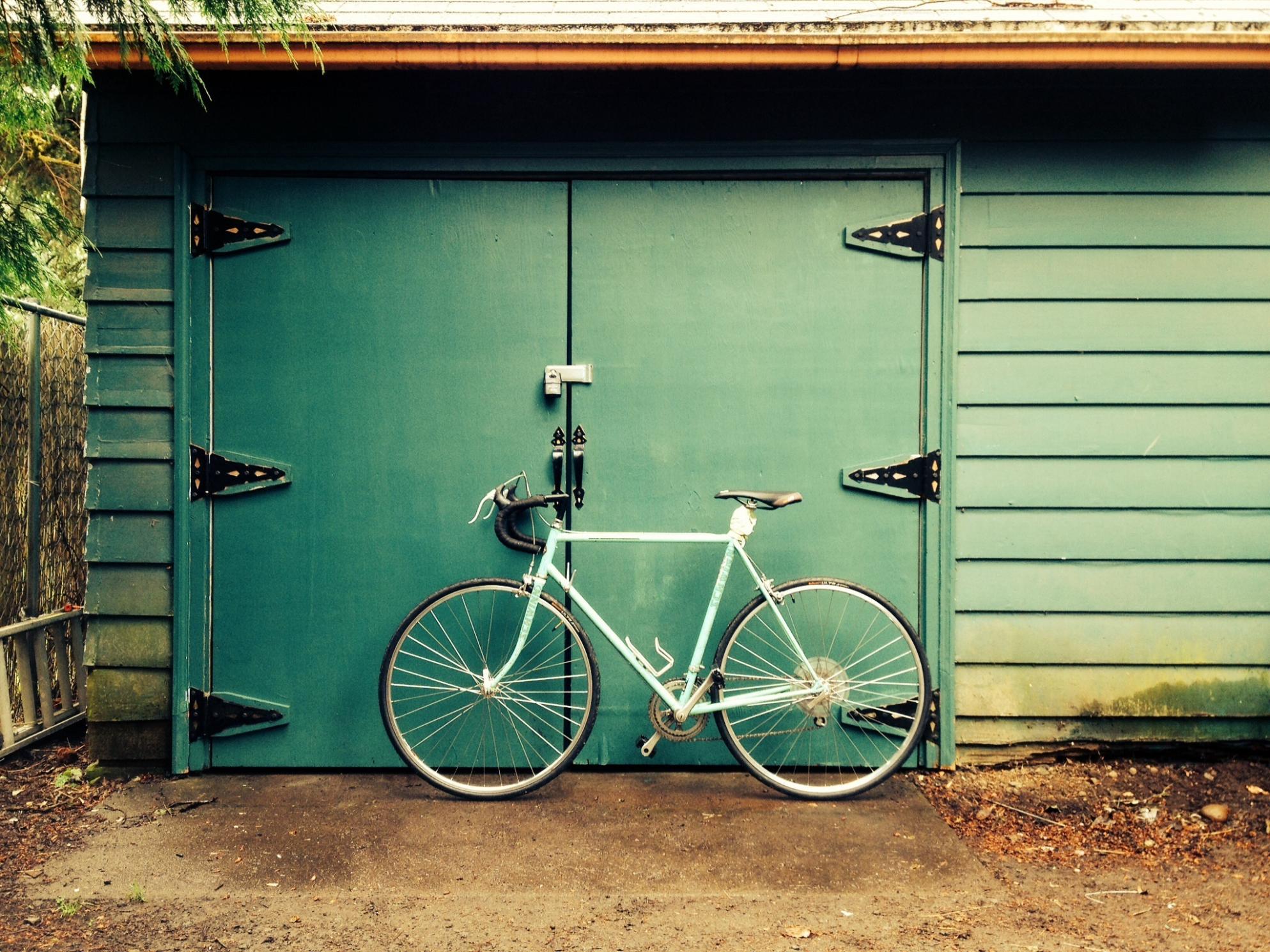 Schwinn Regular  Teal