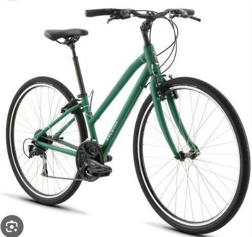 2020 Raleigh Detour 3 Step Thru Green