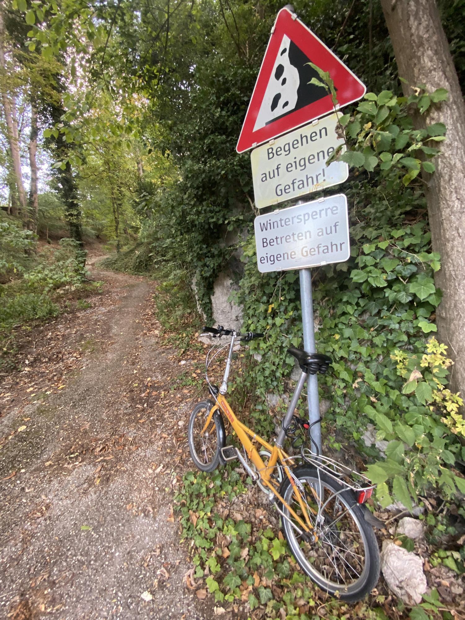 Dahon Impulse Yellow or Gold