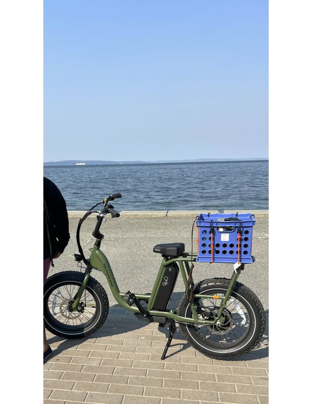 2022 Rad Power Bikes CityRunner II Green