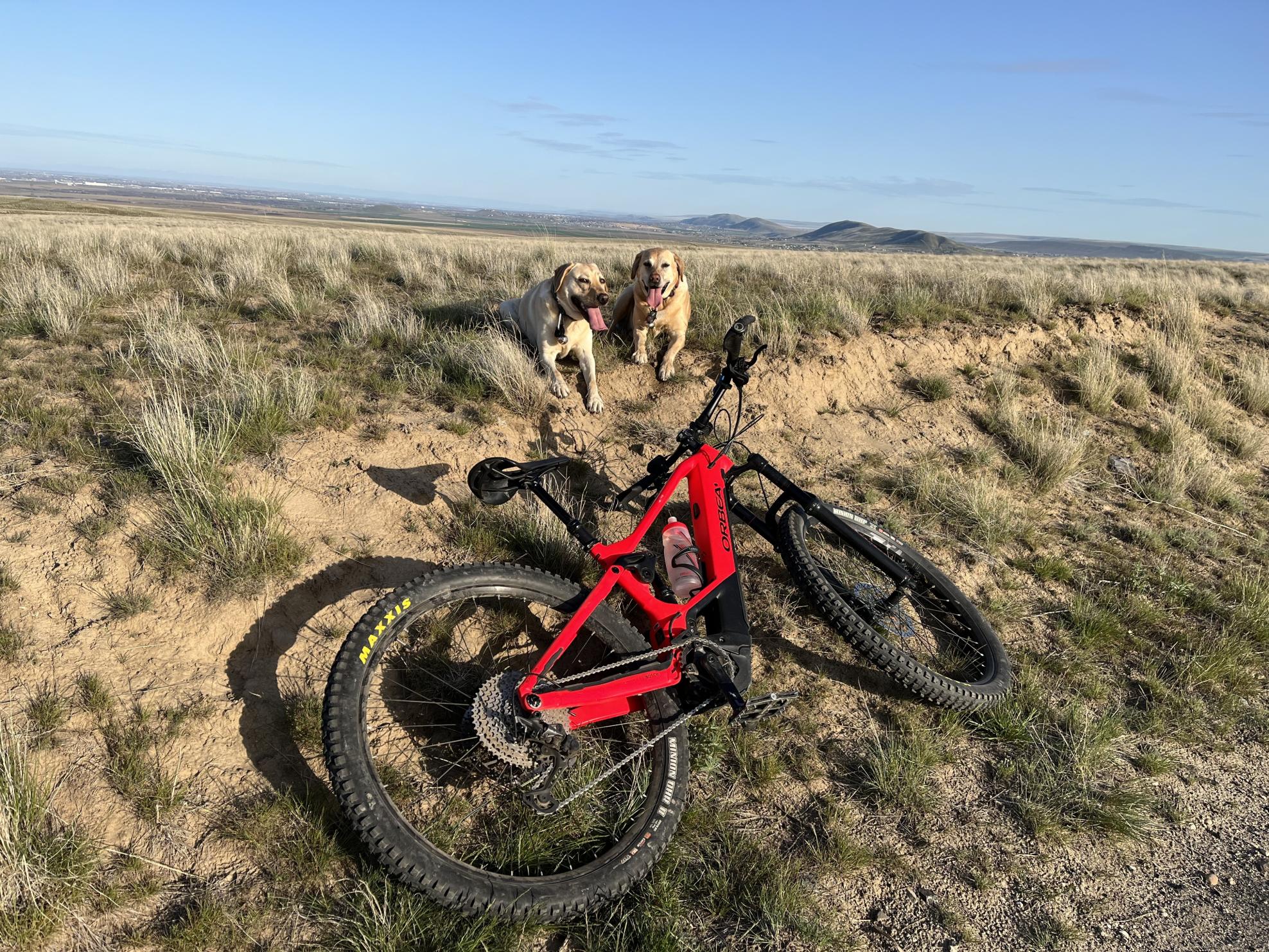 2021 Orbea Wild FS Red