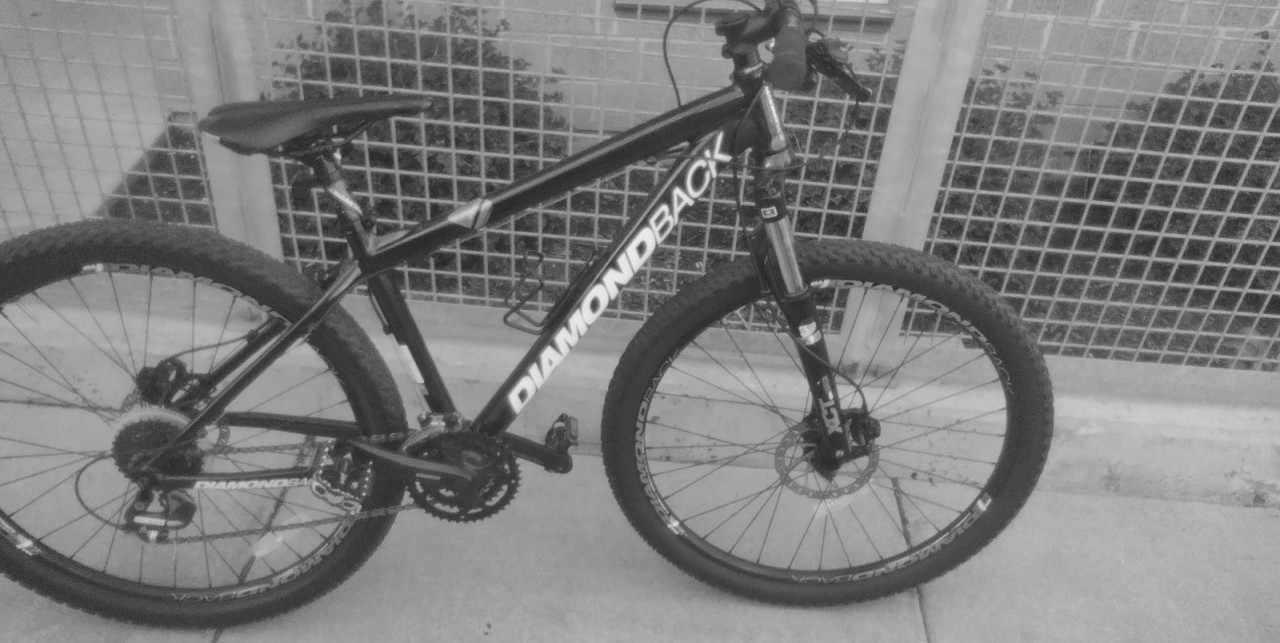 Diamondback Green and Yellow or Gold