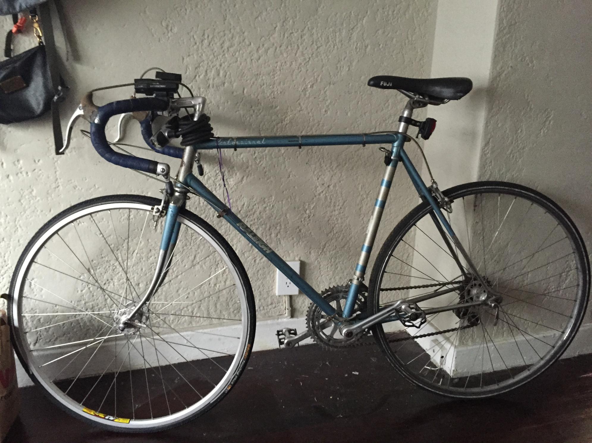 1974 Raleigh Professional Blue and Silver or Gray