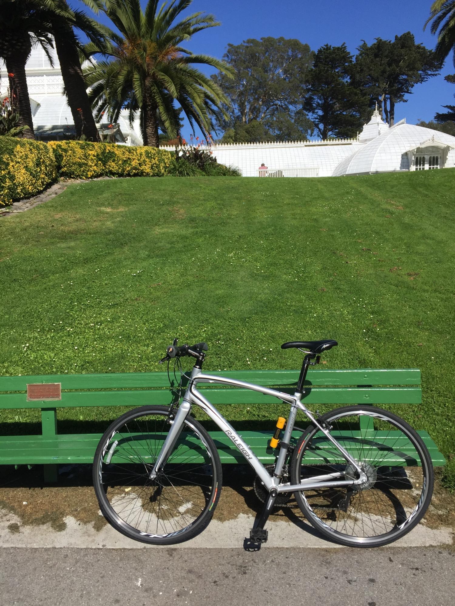 Raleigh Cadent Silver or Gray