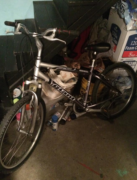 2017 Giant Sedona Silver or Gray