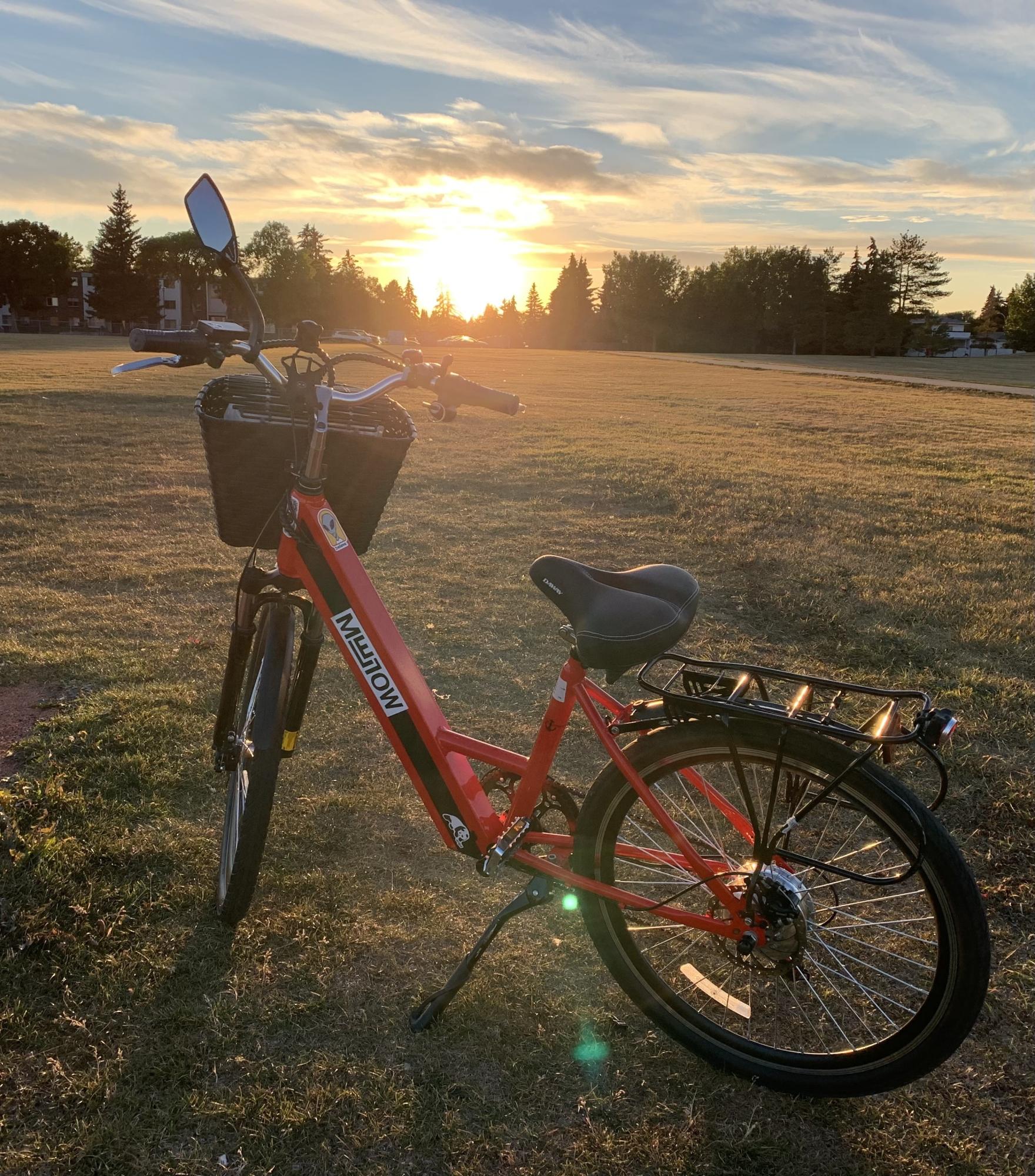 2019 DAYMAK Paris 36v Red