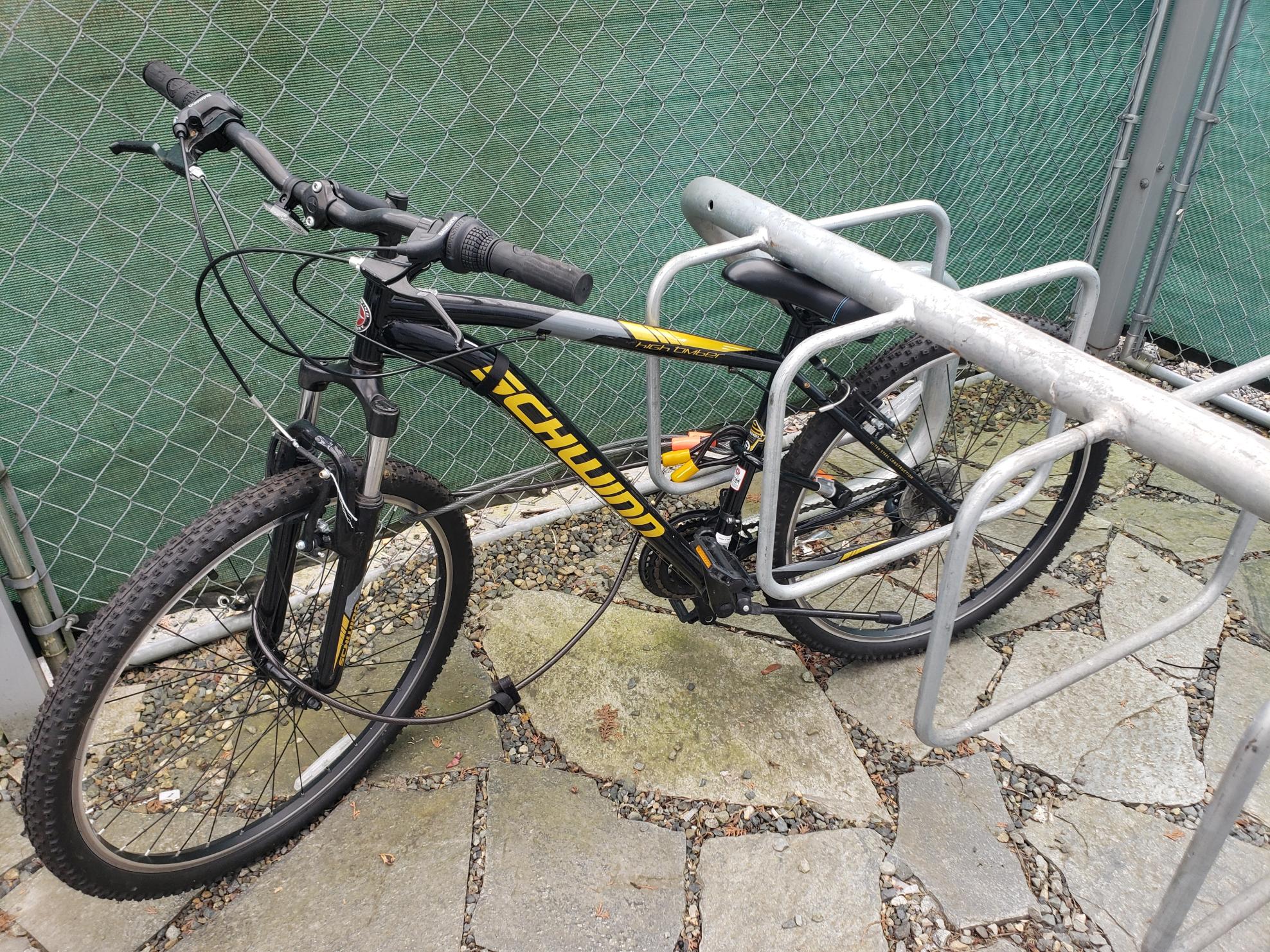 Schwinn Black and Yellow or Gold