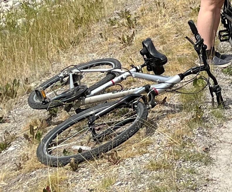 Giant Sedona DX Silver, gray or bare metal