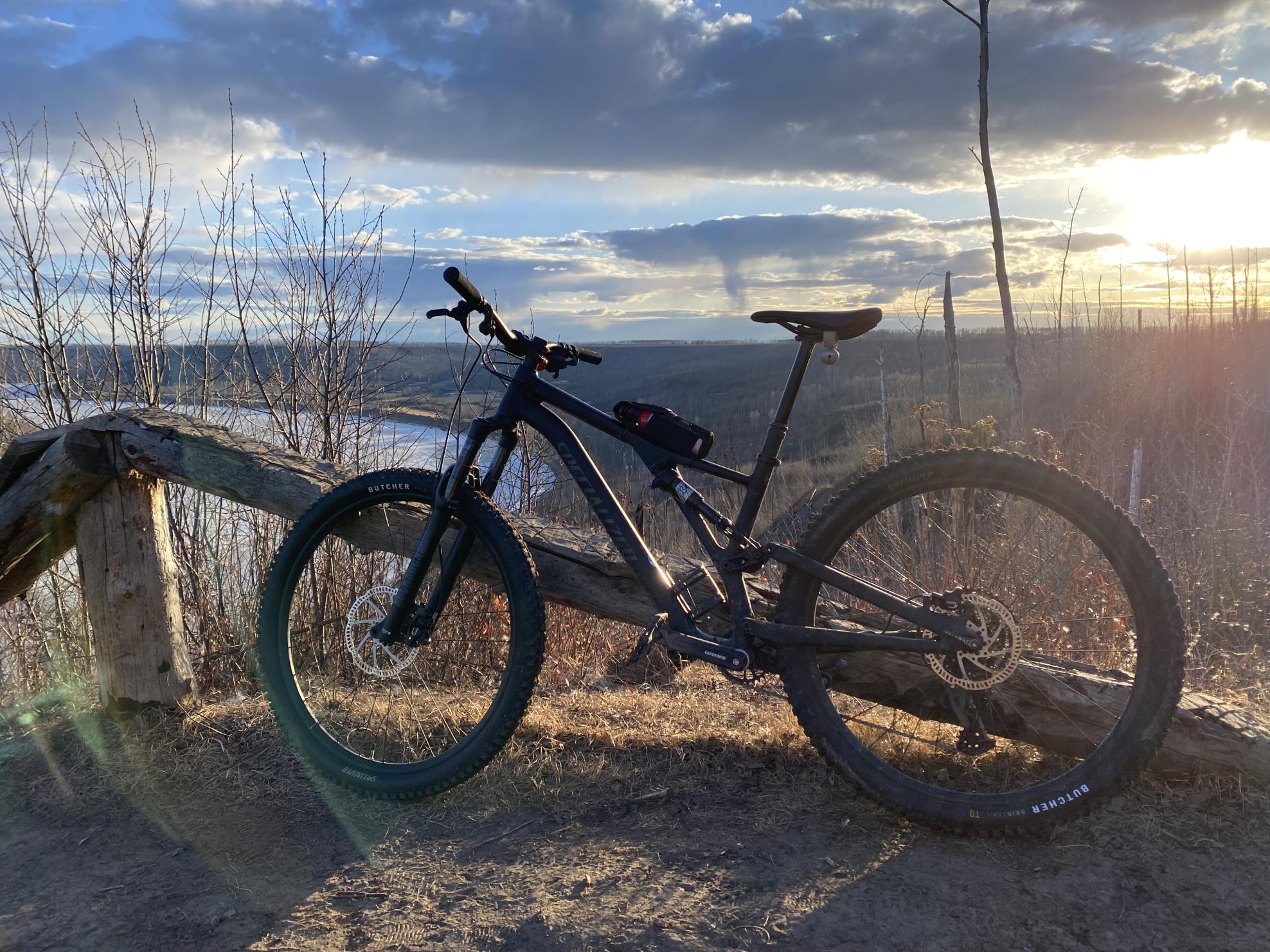 2021 Specialized Black